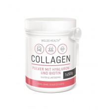 Kolagen s kyselinou hyaluronovou 500 g